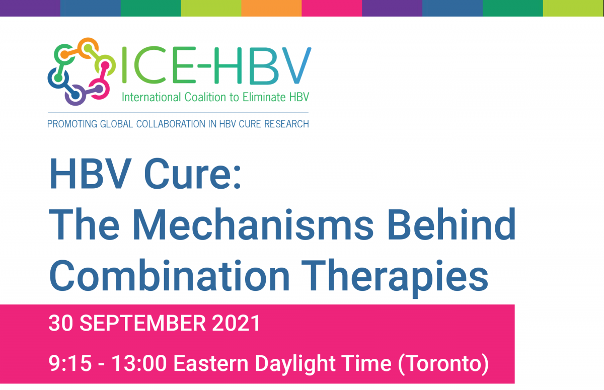 Program finalized for the Toronto Symposium on HBV Cure: The Mechanisms Behind Combination Therapies, taking place at the International HBV Meeting